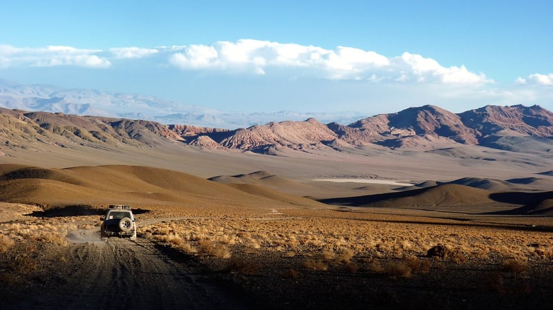 Safari Expeditions